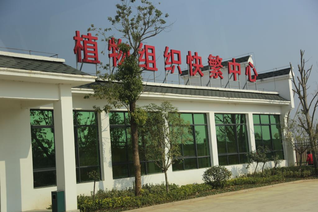 韦德体育bevictor