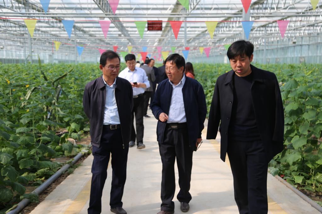 韦德体育bevictor