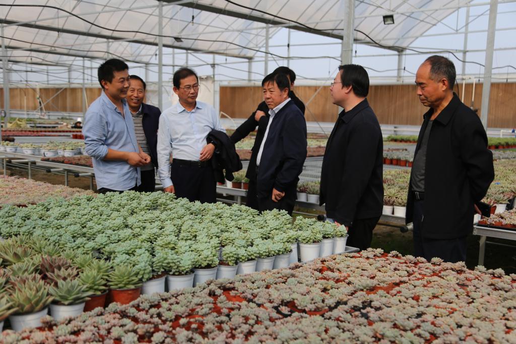 韦德体育bevictor